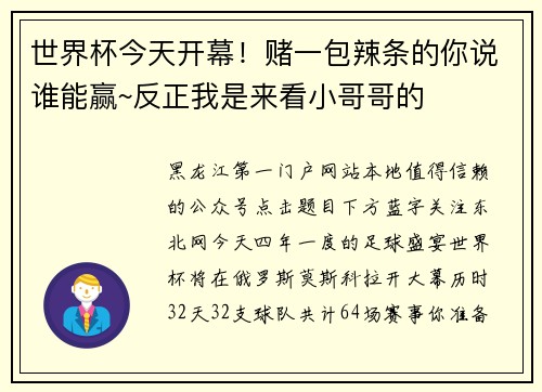 世界杯今天开幕！赌一包辣条的你说谁能赢~反正我是来看小哥哥的